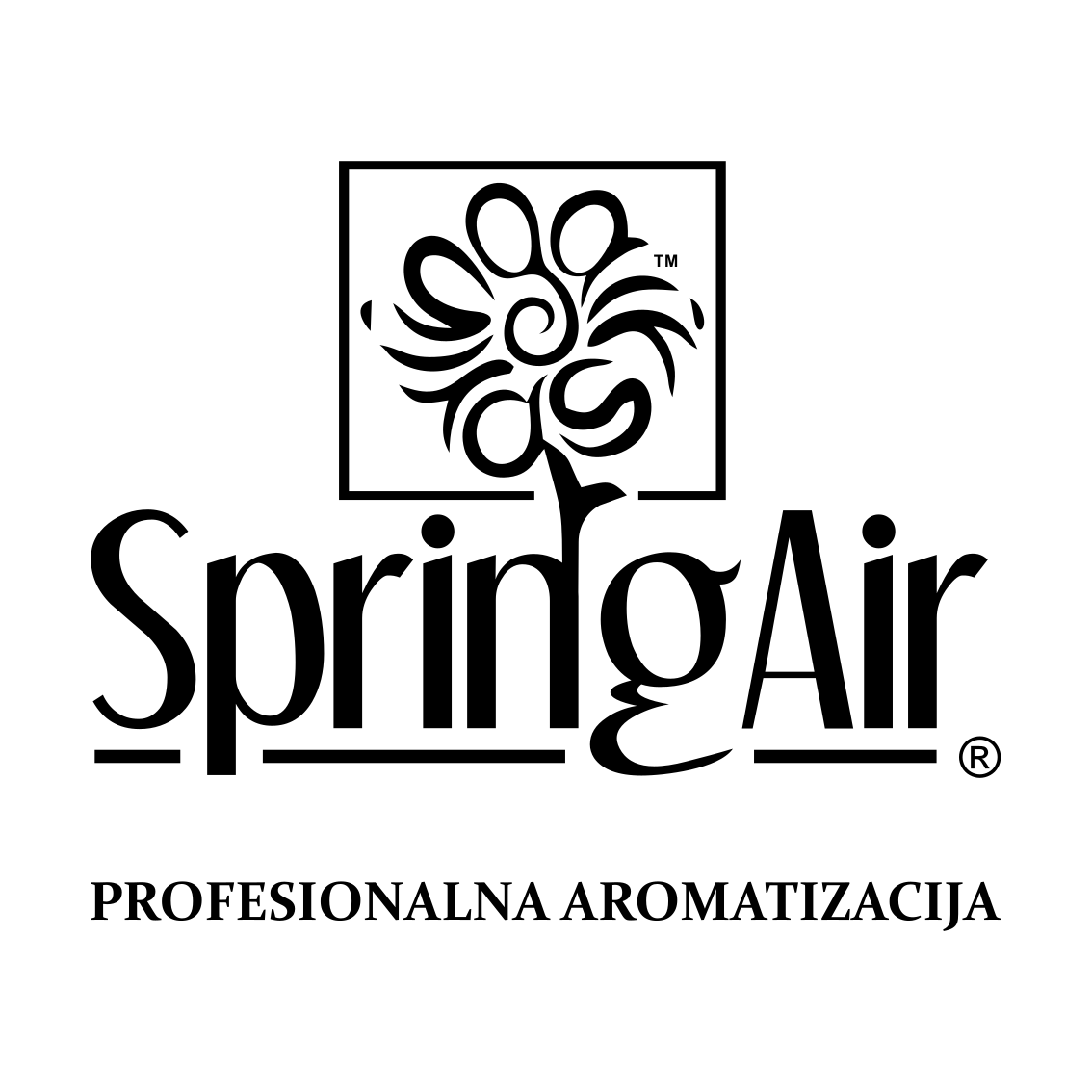 SPRING AIR